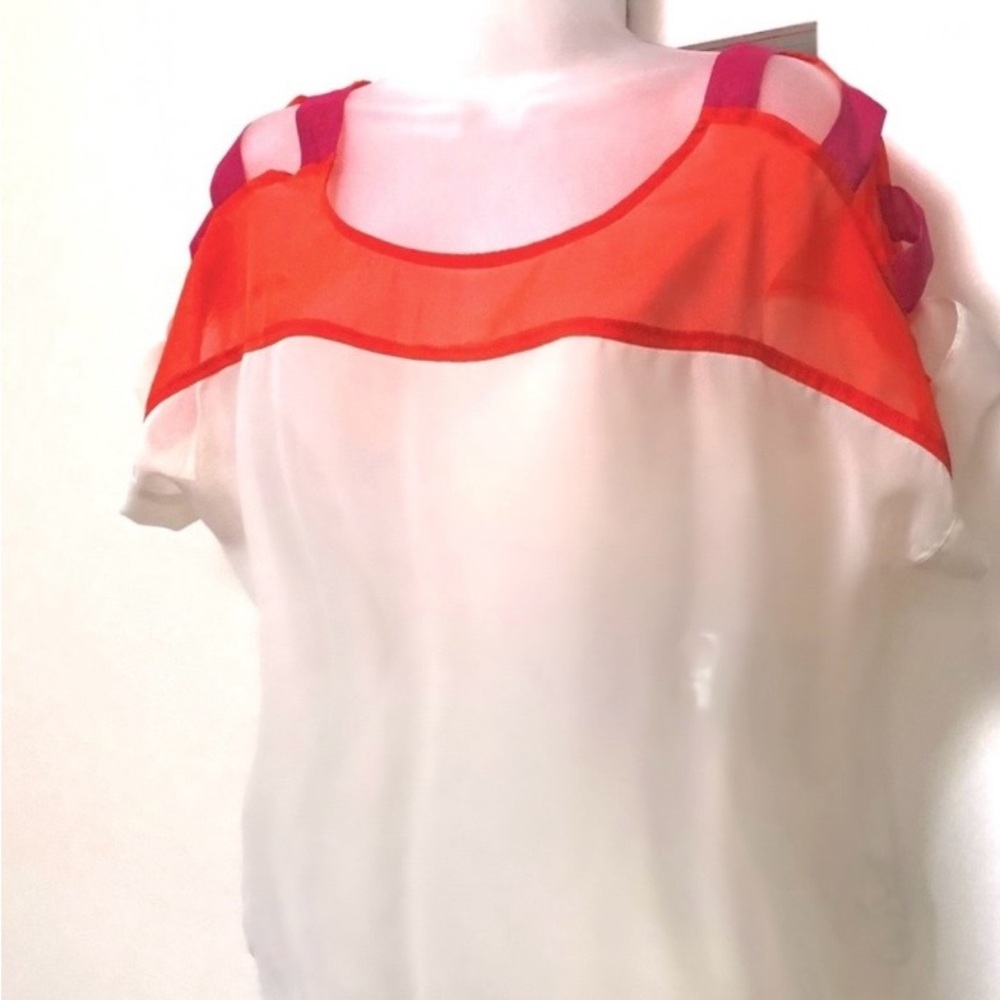 Neon/Sheer Top